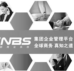 集團企業管(guan)理-NBS